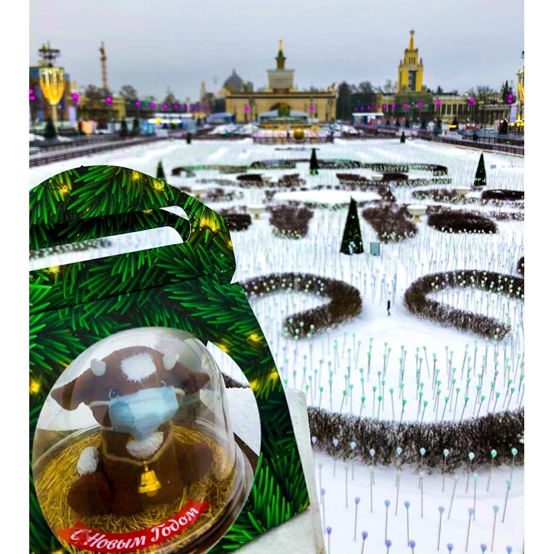 Мой профиль