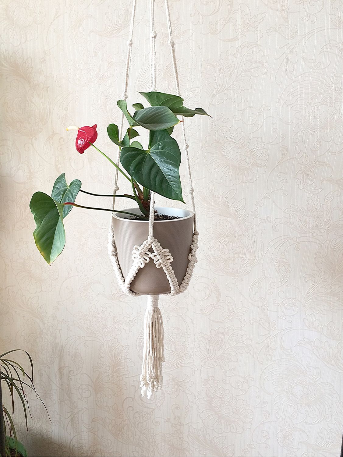 Кашпо для цветов. Подвес макраме для цветов в интернет-магазине Ярмарка ...