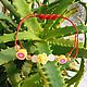 Shambhala bracelet with rose quartz 'Love in everything on a red thread. Bead bracelet. Magic Jewelry from Svetlana. My Livemaster. Фото №5