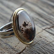 Серебряное кольцо с  моховым агатом "То что видят птицы"