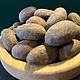Orogbo (Bitter Kola) Орех Орогбо , горький кола (свежий). Ритуальная атрибутика. Максим Стрельцов (maksim-streltsov). Ярмарка Мастеров.  Фото №6