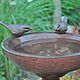Bird feeder-drinking bowl made of concrete under cast iron garden decor. Bird feeders. Decor concrete Azov Garden. My Livemaster. Фото №5