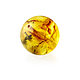 Ball-amber8mm-Lemon color with inclusions-Drilled, Beads1, Kaliningrad,  Фото №1