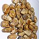 Sand jasper 23- 35 mm (galtovka), South Africa, Northern Cape. South Africa. Cabochons. Stones of the World. Online shopping on My Livemaster.  Фото №2
