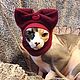 Clothing for cats 'Cap and nowotnik'. Pet clothes. Happy-sphynx. Online shopping on My Livemaster.  Фото №2