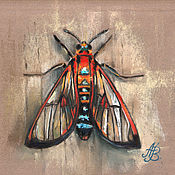 Картины и панно handmade. Livemaster - original item Mexican Moth (Butterfly, moth). Original. Pastel.. Handmade.