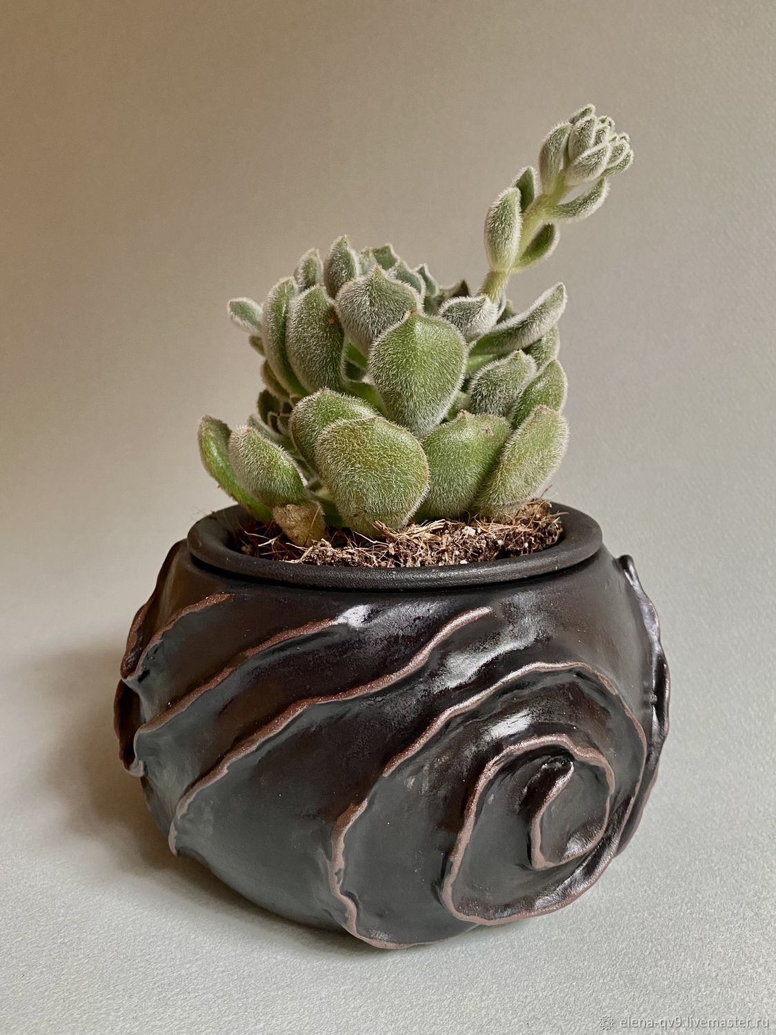 Горшок для суккулентов в интернет-магазине Ярмарка Мастеров по цене ...