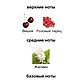 Духи ручной работы, реплика аромата «Джульетта хез э ган» 15 мл. Духи. Ольга и Людмила (honeybee-soapbar). Ярмарка Мастеров.  Фото №5