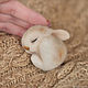 Felted brooch sleeping Bunny. Brooches. Felt toy fromKristina Antropova. Online shopping on My Livemaster.  Фото №2