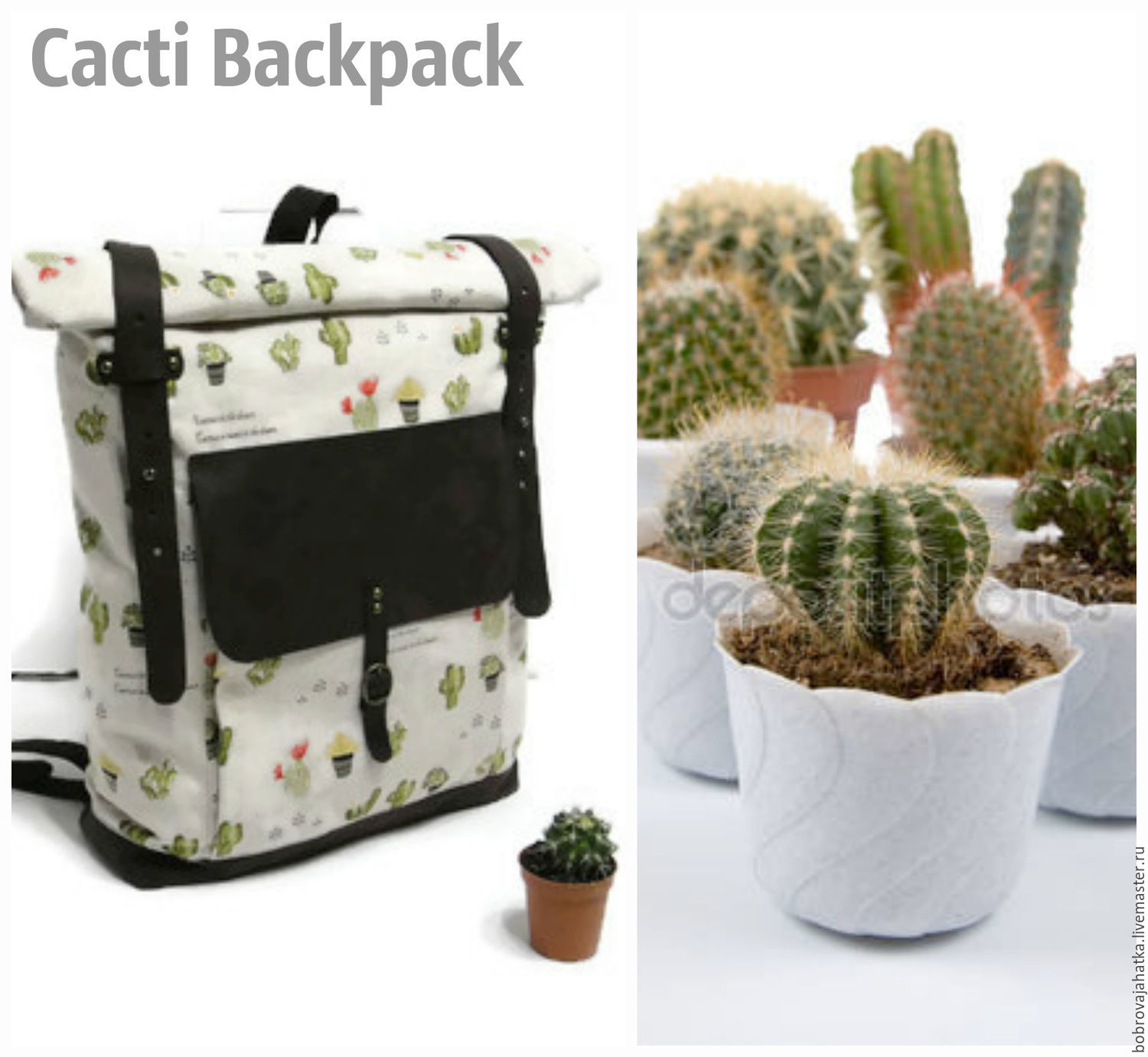 Рюкзак для подростка с кактусами