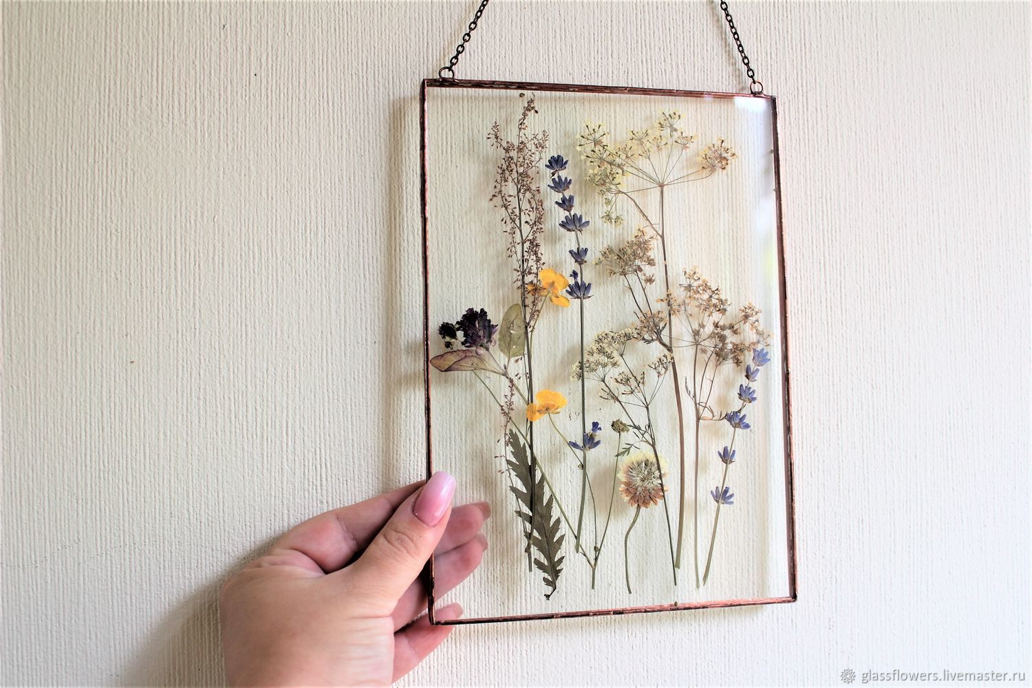 the herbarium in the glass. Herbarium of flowers and herbs in a frame. Lavender, Suspension, St. Petersburg,  Фото №1