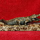 Статуэтка крокодил аллигатор , бронза на мраморе, Статуэтки, Гродно,  Фото №1