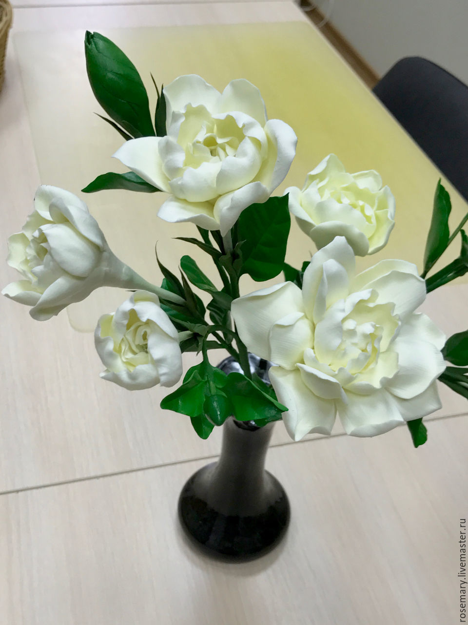 Gardenia Интернет Магазин Растений
