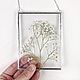 The herbarium in the glass 'White gypsophila', Suspension, Moscow,  Фото №1