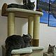 House cat "Chord". Scratching Post. Workshop for dogs and cats. Online shopping on My Livemaster.  Фото №2