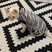 Clothing for cats Jumpsuit 