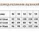 Рубаха Ясный Сокол мужская традиционная. Народные рубахи. Славянские узоры. Ярмарка Мастеров.  Фото №5