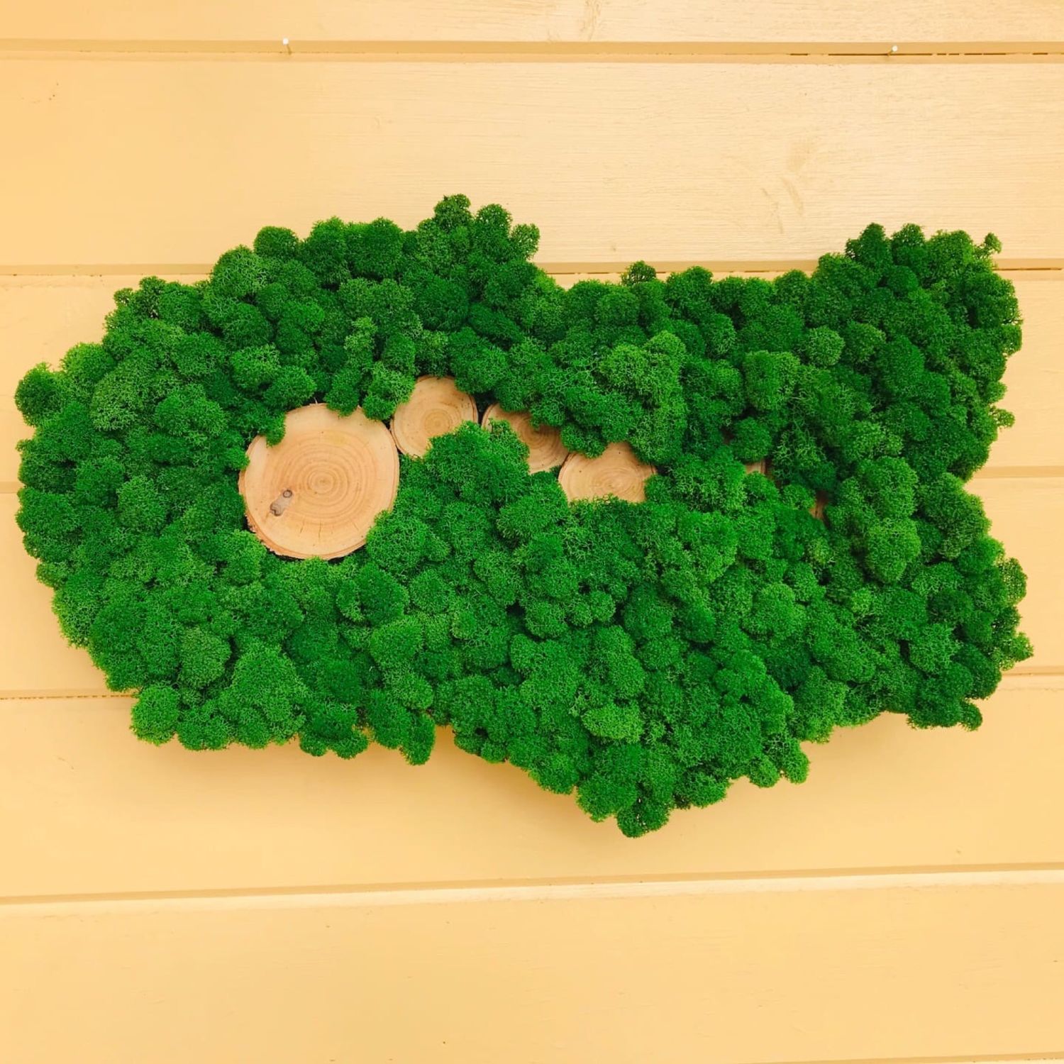 Панно из стабилизированного мха купить в интернет-магазине Ярмарка ...