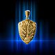 The amulet Shield of divine wisdom, Amulet, Moscow,  Фото №1