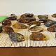 Natural amber pendants, cabochons St-184, Blanks for jewelry, Svetlogorsk,  Фото №1