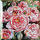 Coral petals - painting with peonies, Pictures, Moscow,  Фото №1