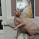  Портреты домашних животных, питомцев, нейроиллюстрации. Иллюстрации. Дядюшка Мадлен (dyadyushka-madlen). Ярмарка Мастеров.  Фото №6