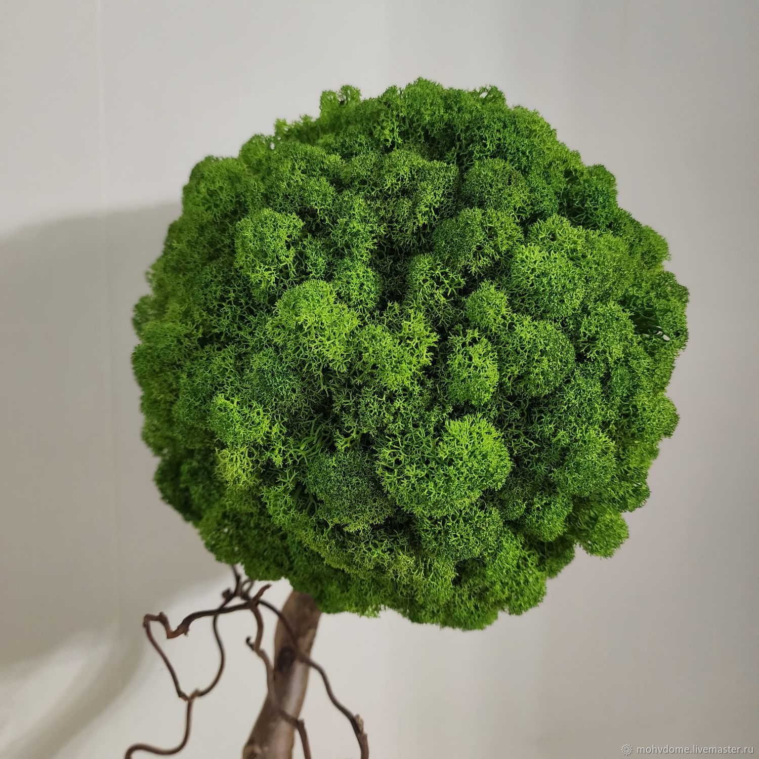 Топиарий из стабилизированного мха ягеля – заказать на Ярмарке Мастеров ...