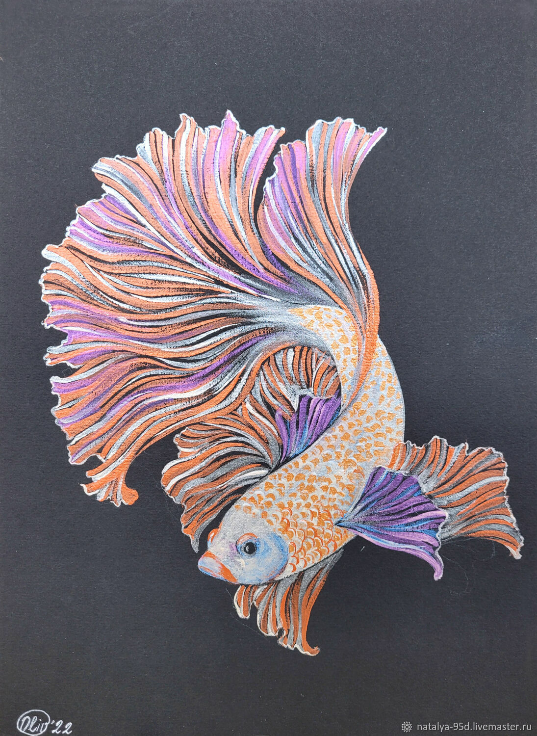 Рыба петушок рисунок