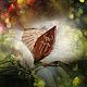 Брошь руническая «ОТВЕТ». Оберег. Magic shop  'Miracles'. Интернет-магазин Ярмарка Мастеров.  Фото №2
