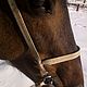 Agricultural harness bridle, with a leash. Bridles. Saddlery and blacksmith's yard. My Livemaster. Фото №4