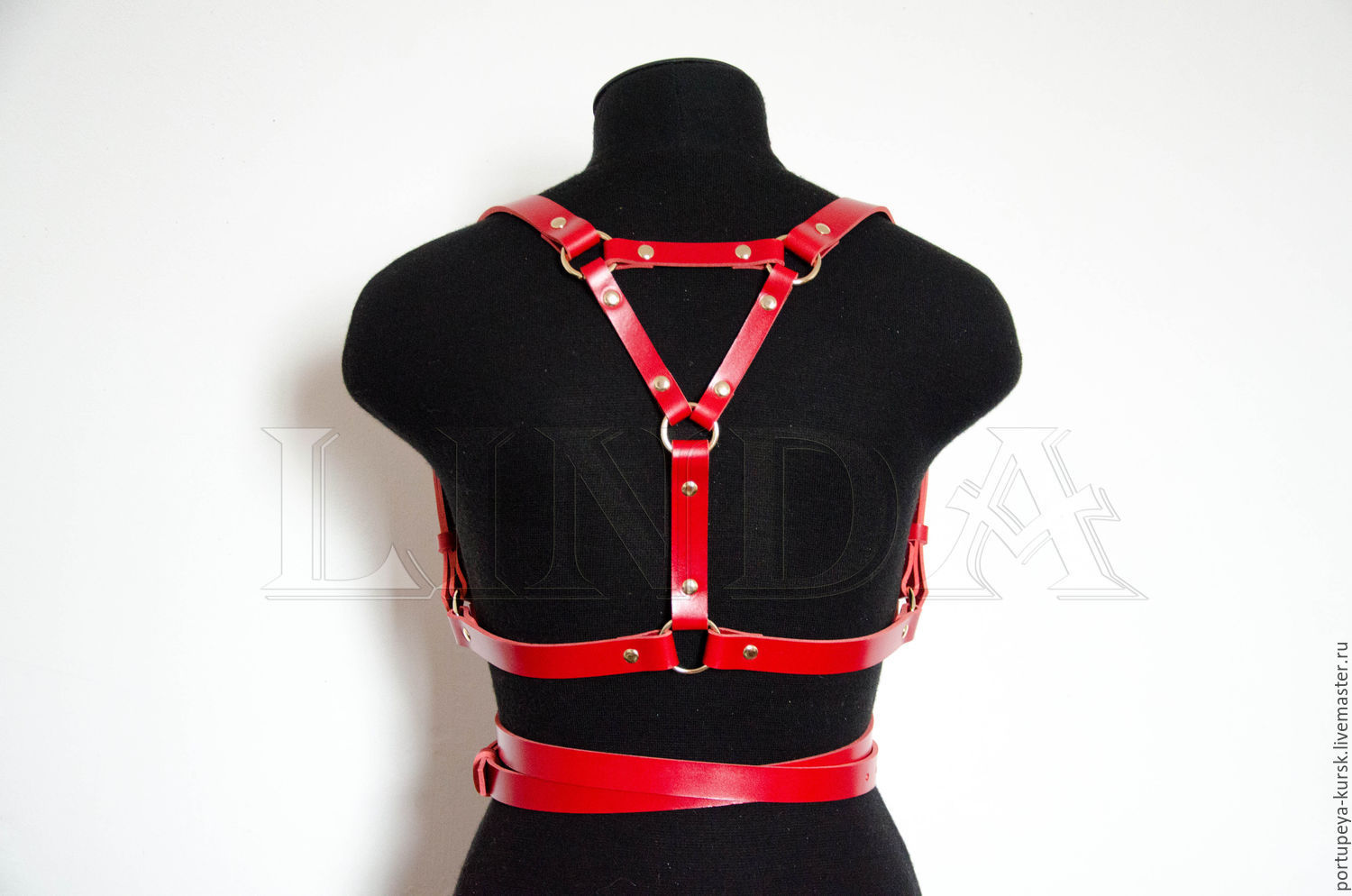 Leather Harness & Steel Rivets