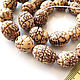 Beads Spiral carving Salvag palm tree seeds, Beads1, Bryansk,  Фото №1
