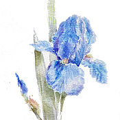 Картины и панно handmade. Livemaster - original item Pictures. Watercolor. Iris blue.. Handmade.