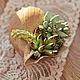 Shell with succulents and cacti, Composition, Vladivostok,  Фото №1