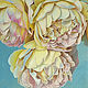 Painting Yellow roses, oil on canvas 50h70, Pictures, Moscow,  Фото №1
