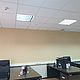 Роспись стены в офисе. Декор. Любаша и компания. Ярмарка Мастеров.  Фото №6