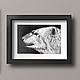 Bear, 21h29.7cm, pastel Painting, black and white portrait, Pictures, St. Petersburg,  Фото №1