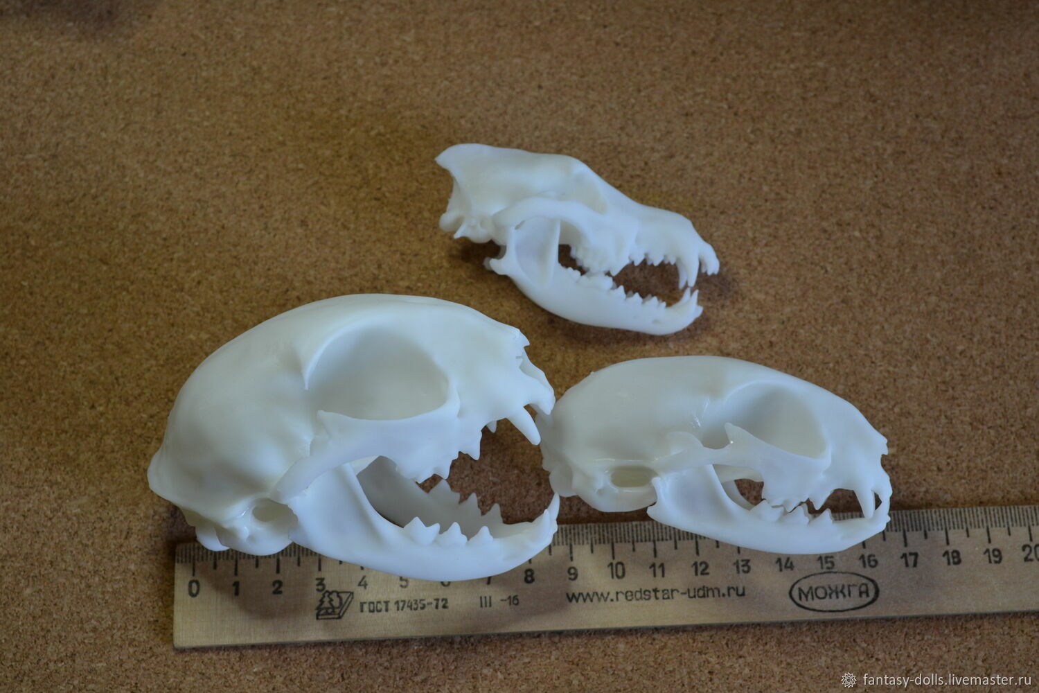 3 Skulls: a normal-shaped cat, an elongated cat and a wolf, Blanks for dolls and toys, Kameshkovo,  Фото №1