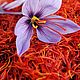 Шафрана абсолют кашмирского, Crocus sativus, густое, насыщенное, 5 мл, Эфирные масла, Ярославль,  Фото №1