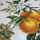 A picture embroidered with a cross Oranges from the Botany series. Pictures. Matania. Online shopping on My Livemaster.  Фото №2