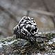 Men's lion ring 925 silver, Rings, Moscow,  Фото №1