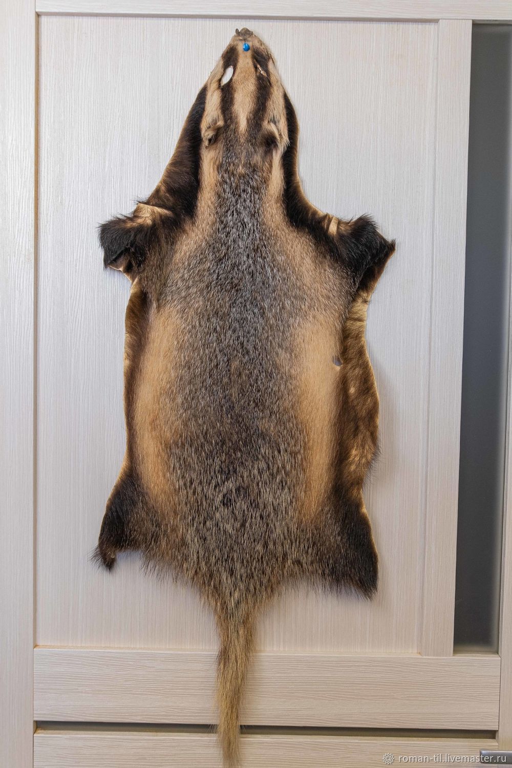 Шкура Барсука - Защитник в интернет-магазине на Ярмарке Мастеров ...