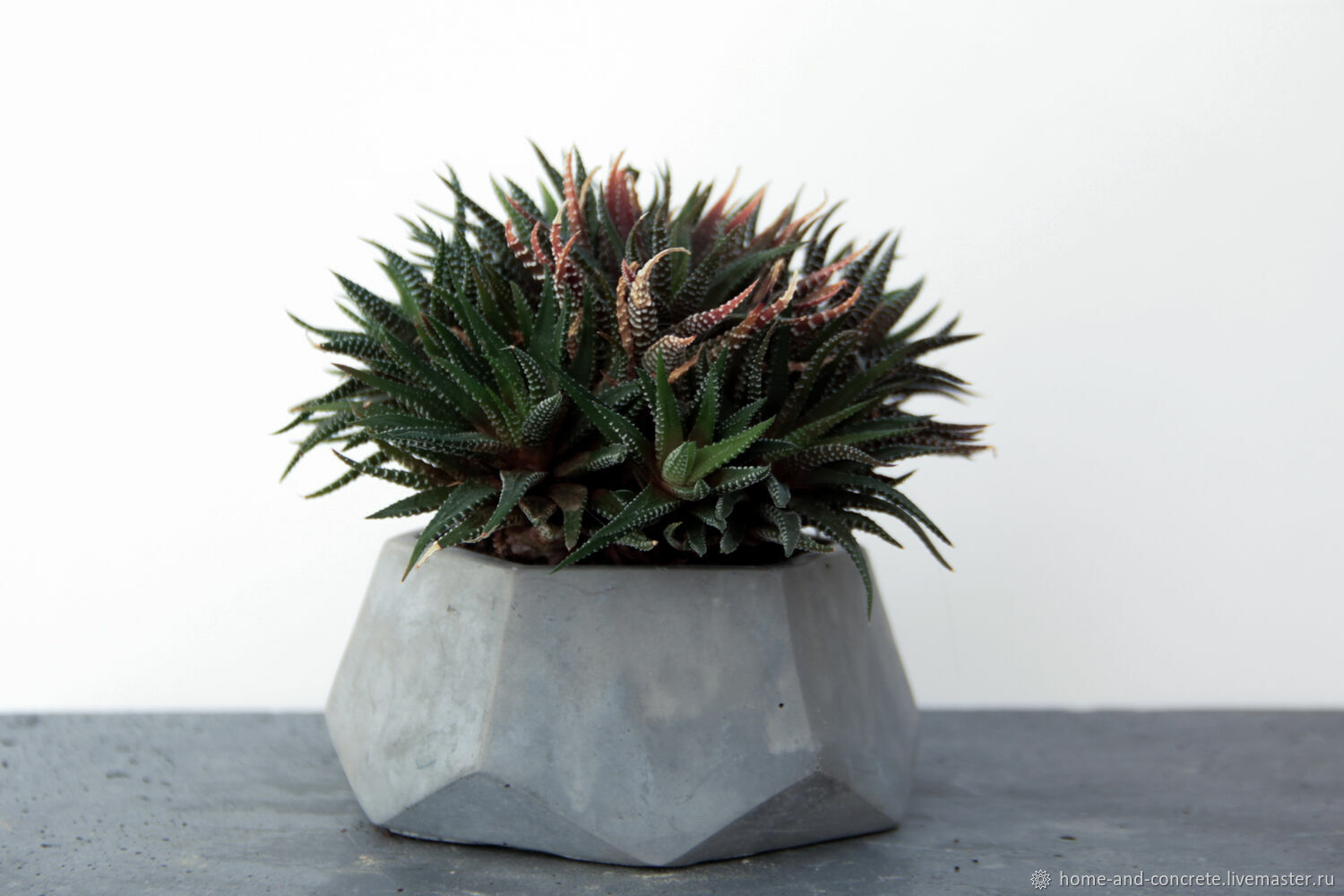 Горшок для суккулентов из бетона в интернет-магазине на Ярмарке ...