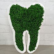 Сувениры и подарки handmade. Livemaster - original item Tooth made of stabilized moss 20*30 cm with a solid green side. Handmade.