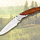 Folding knife 'Dolphin' Zlatoust, Gifts for hunters and fishers, Chrysostom,  Фото №1