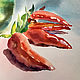 Painting watercolor. Still life. Bottle, teapot and peppers. Pictures. ArtShipilina. My Livemaster. Фото №4