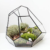 Цветы и флористика handmade. Livemaster - original item Mossarium. Florarium with real live moss. Freeform. Handmade.
