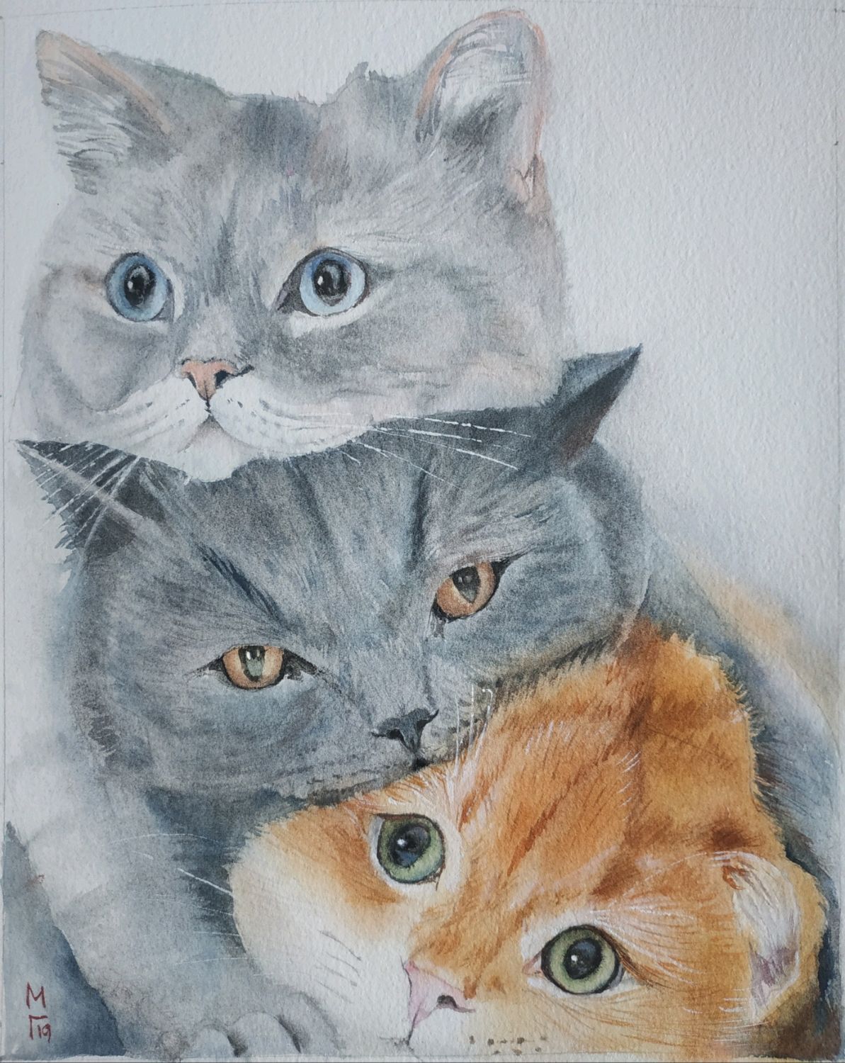 Три кошки картина