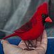 Felted toy. Bird Cardinal, Felted Toy, Moscow,  Фото №1
