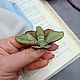 Summer Moth brooch made of polymer clay. Brooches. AnnaMalnaya. My Livemaster. Фото №4